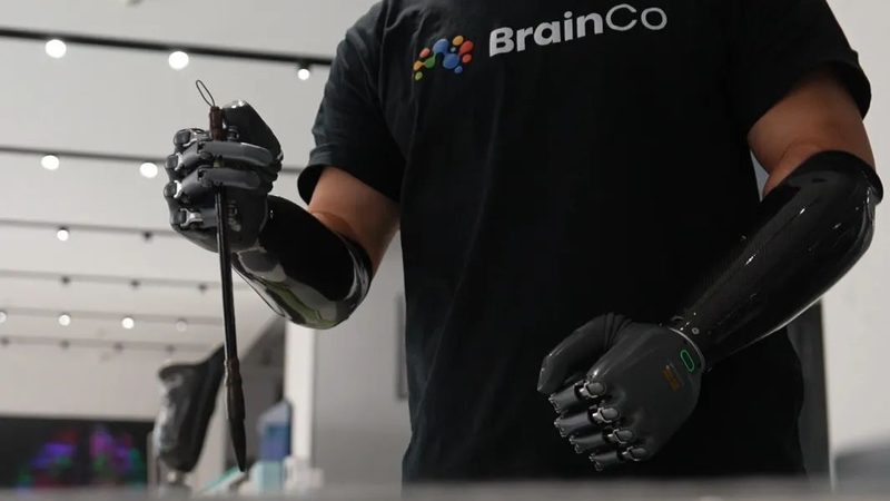 专精特新：聚焦细分领域，深耕细作